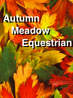 Autumn Meadow Equestrian Avatar