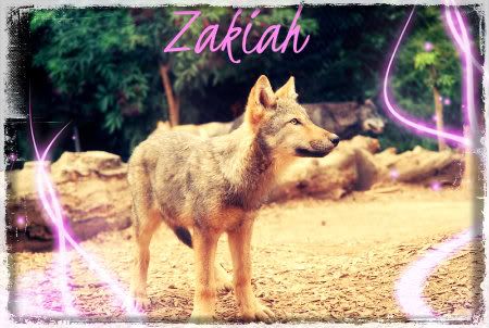 Zakiah