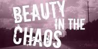 beauty in the chaos