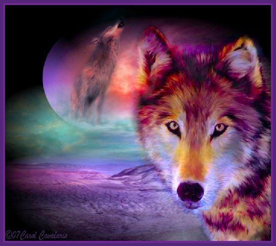  photo Wolves_Purple_zps4j5jns7o.jpg