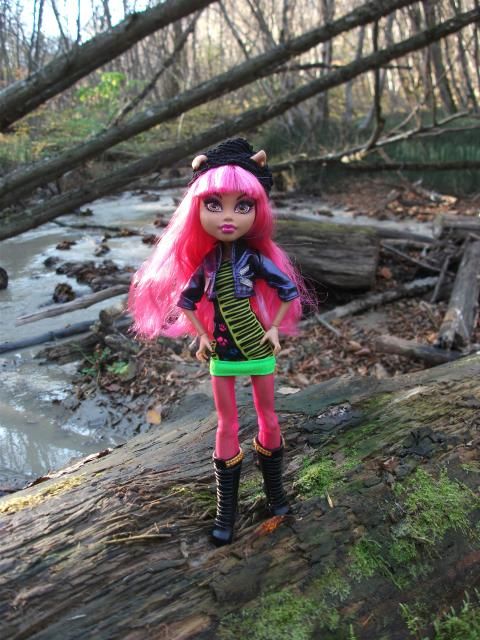 photo DSCF3739_zps1285dbe4.jpg