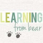 LEARNING FROM BEAR