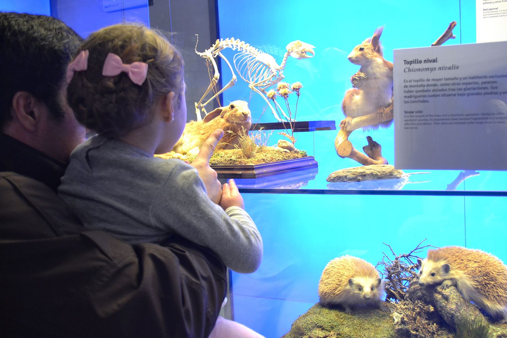 museo de ciencias naturales nacional plan con niños plan familiar con padres