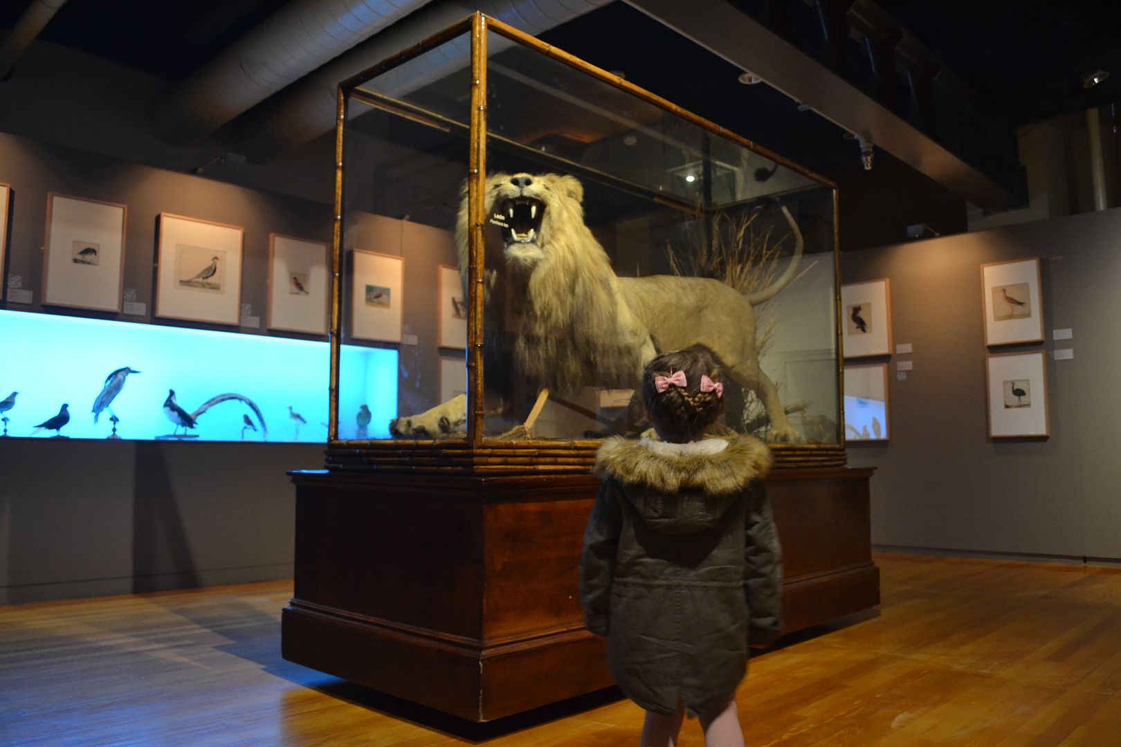  museo de ciencias naturales nacional plan con niños león