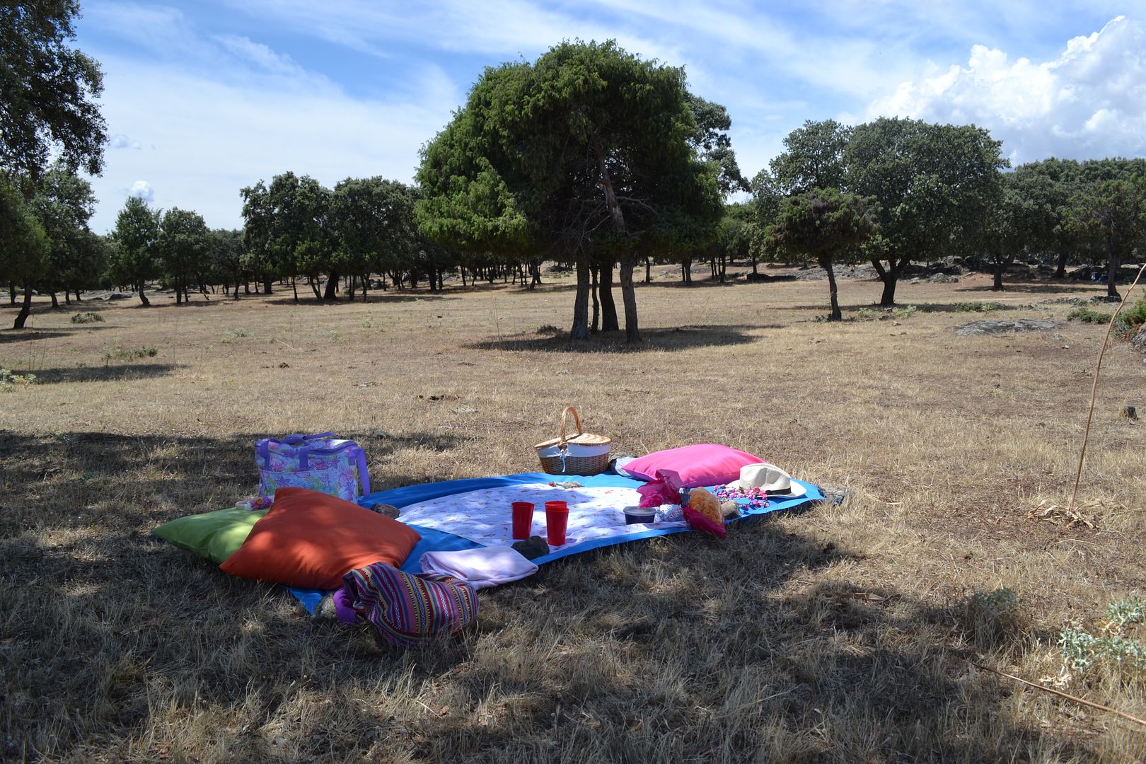  photo picnic-en-familia-campo-dehesa-mantel-cesta-cojines2_zps63ee1c28.jpg