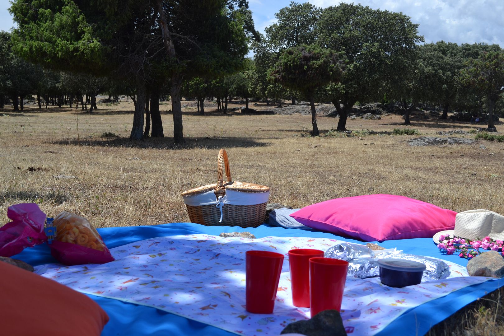  photo picnic-en-familia-campo-dehesa-mantel-cesta-cojines7_zpsc4fa0a29.jpg