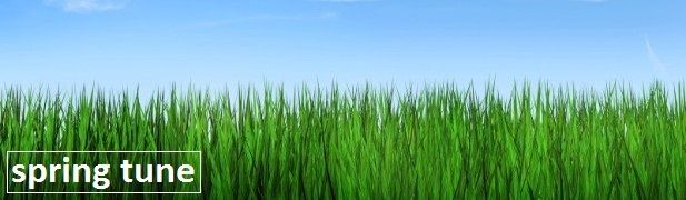  photo spring tune_edit_zps0al9gmsc.jpg